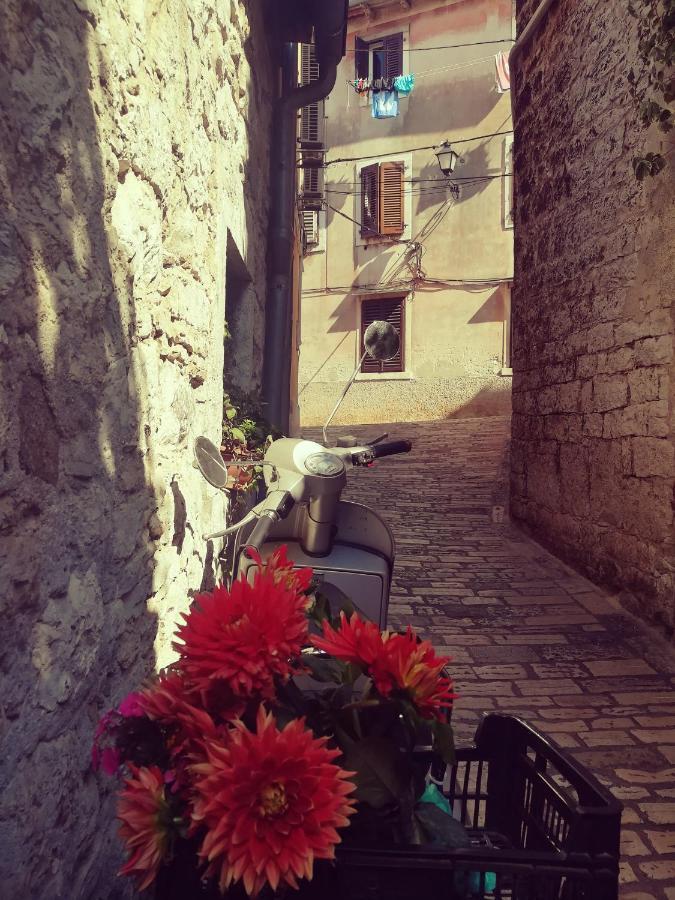 Apartament La Calletta