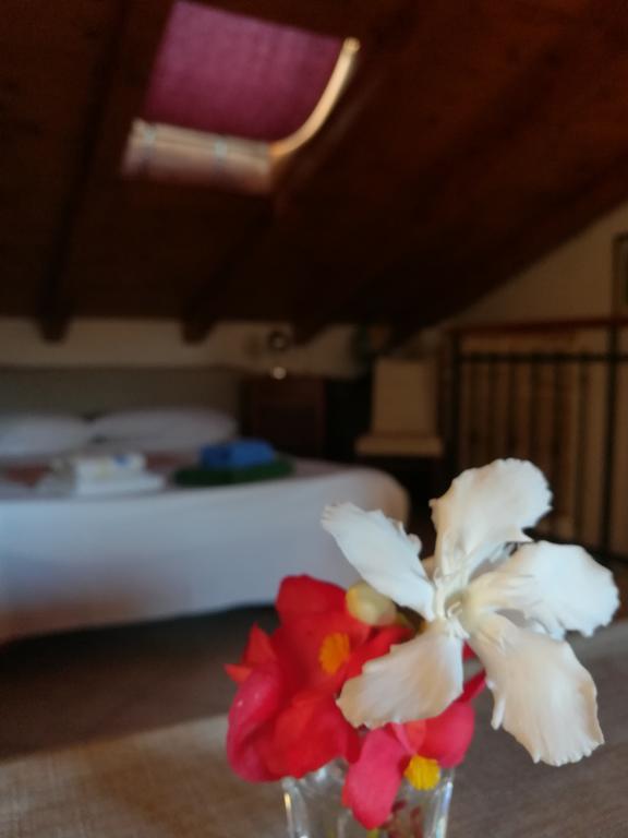 La Calletta Apartament