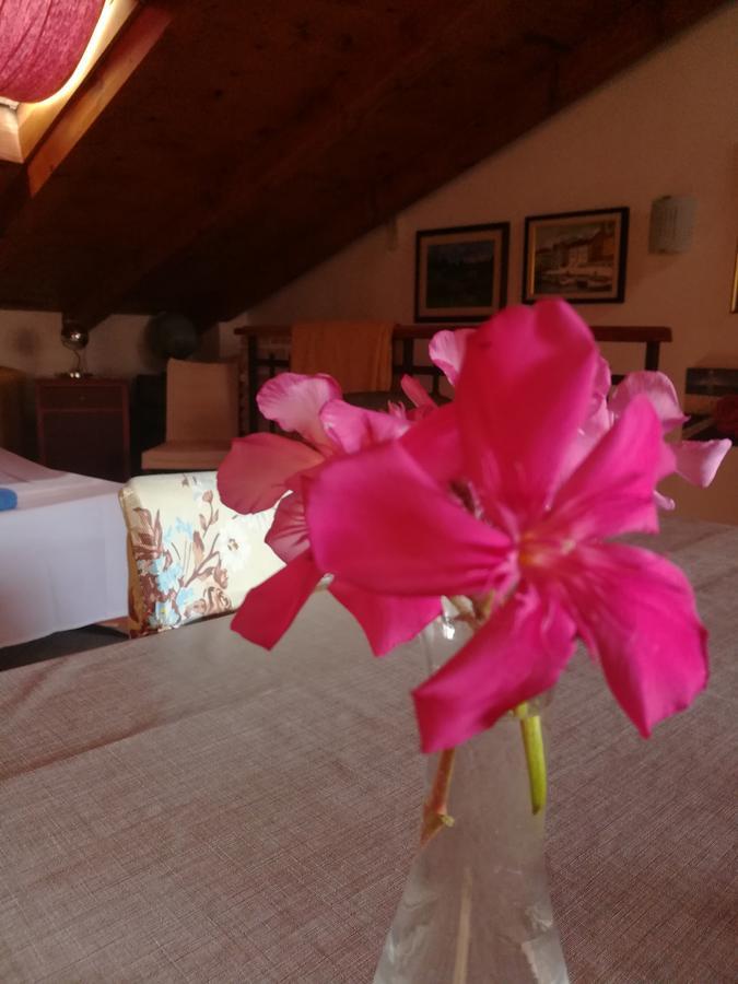 La Calletta Apartament *
